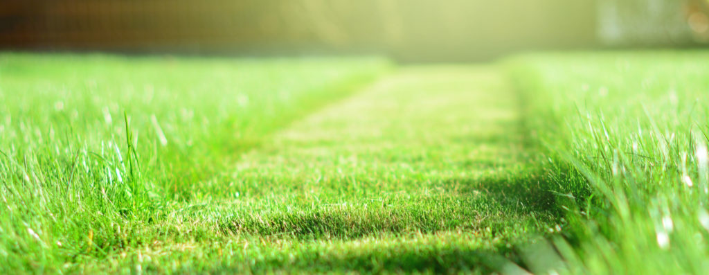 lawn-care-service-Des Peres-MO|Des Peres-MO-lawn-care-service|lawn-care-Des Peres-MO