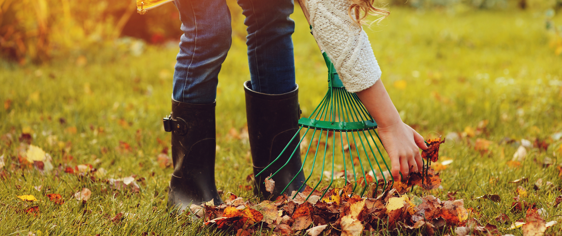 Webster Groves, MO fall lawn care - fall lawn maintenance