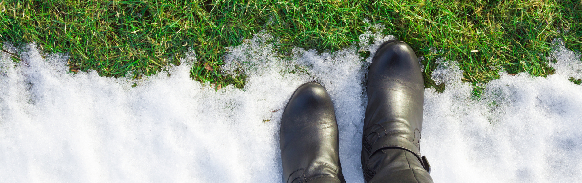 Sprinkler Blowout Lawn Sprinkler STL