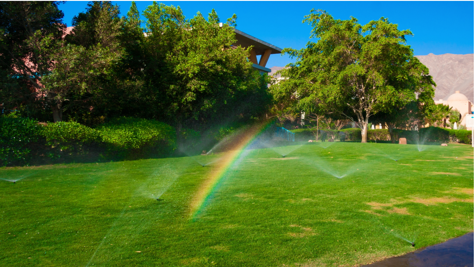 sprinkler-system-startup-University City-MO | University City, MO area sprinkler systems | Lawn Sprinklers of St. Louis