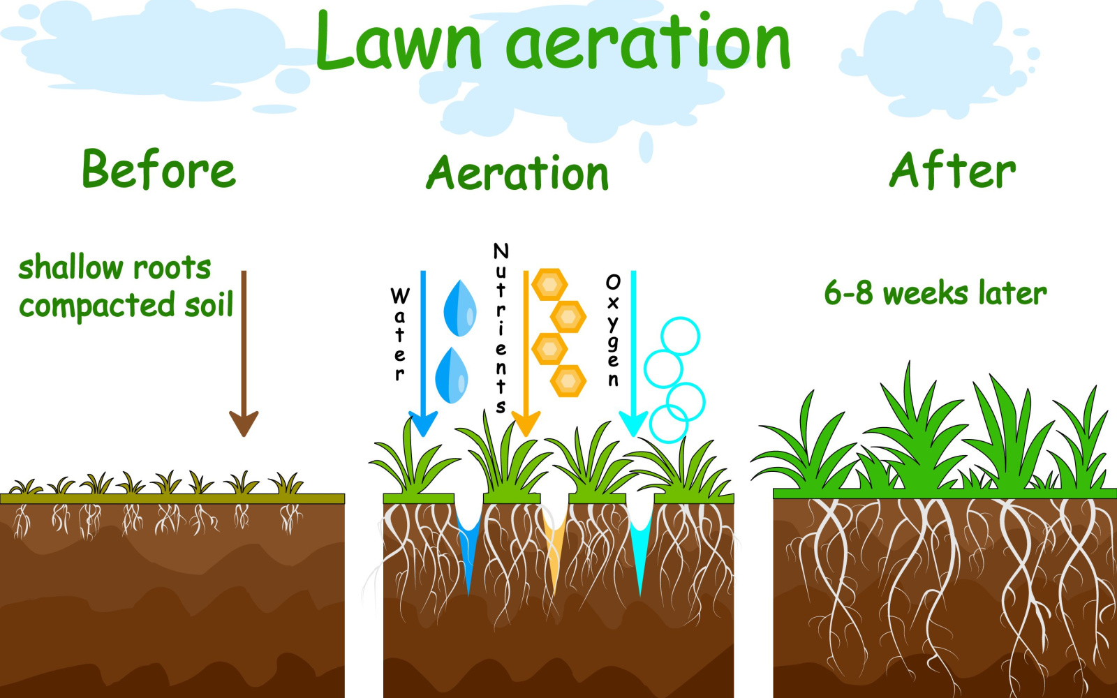 Lawn Aeration Near Me Town and Country, MO | Town and Country, MO Lawn Care Services | Lawn Sprinklers of St. Louis