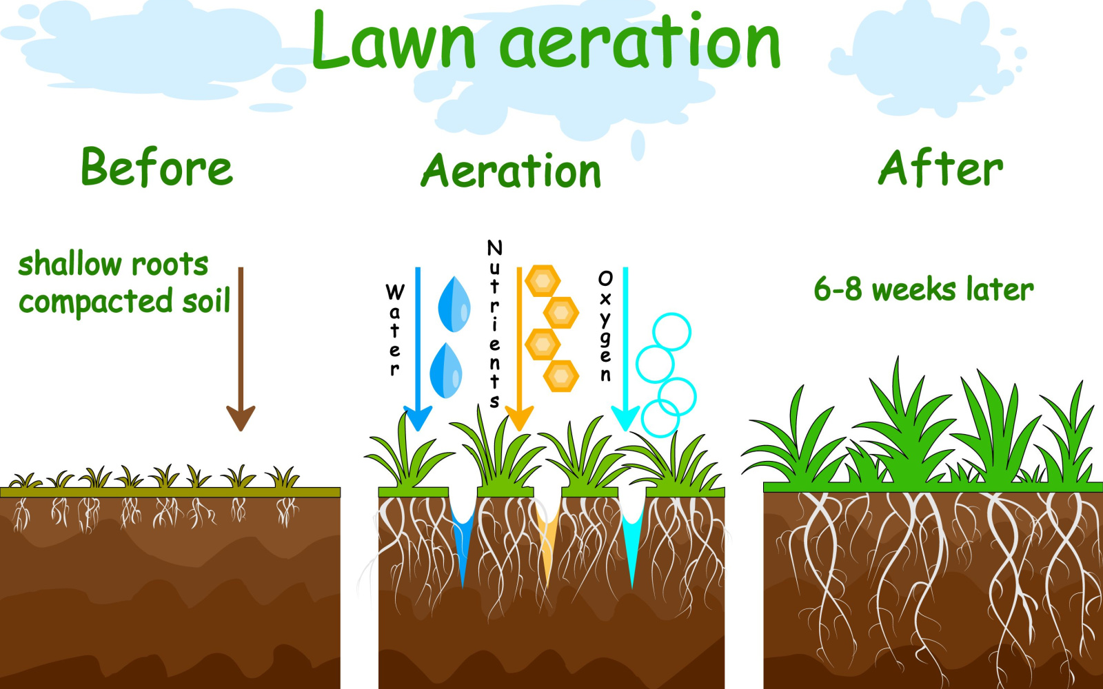 Lawn Aeration Near Me Country Life Acres, MO | Country Life Acres, MO Lawn Care Services | Lawn Sprinklers of St. Louis