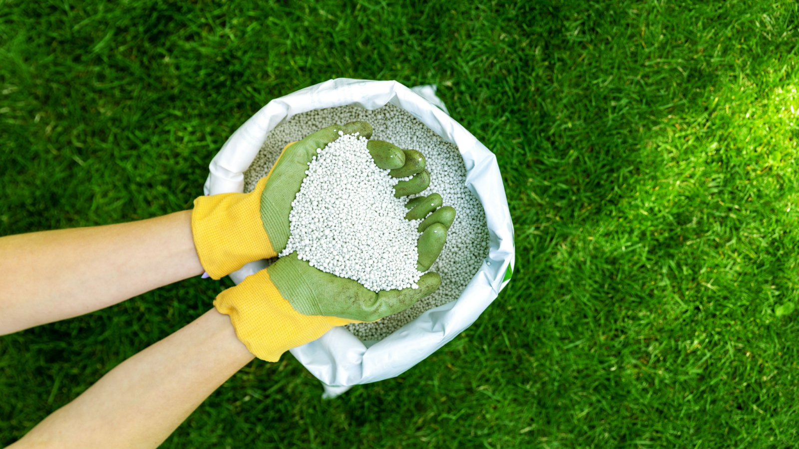 Lawn Fertilizer Service Near Me Crystal Lake Park, MO | Crystal Lake Park, MO Lawn Care Services | Lawn Sprinklers of St. Louis