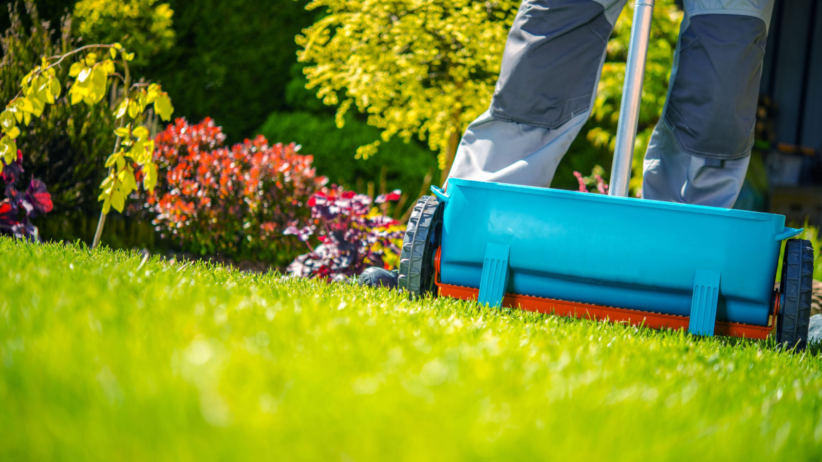 Lawn Fertilizer Service Near Me Des Peres, MO | Des Peres, MO Lawn Care | Lawn Sprinklers of St. Louis