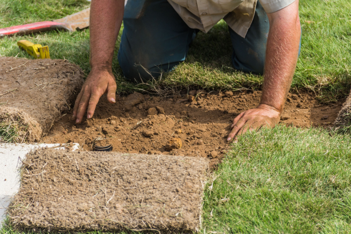 Irrigation Companies Glendale, MO | Glendale, MO Area Lawn Care | Lawn Sprinklers of St. Louis