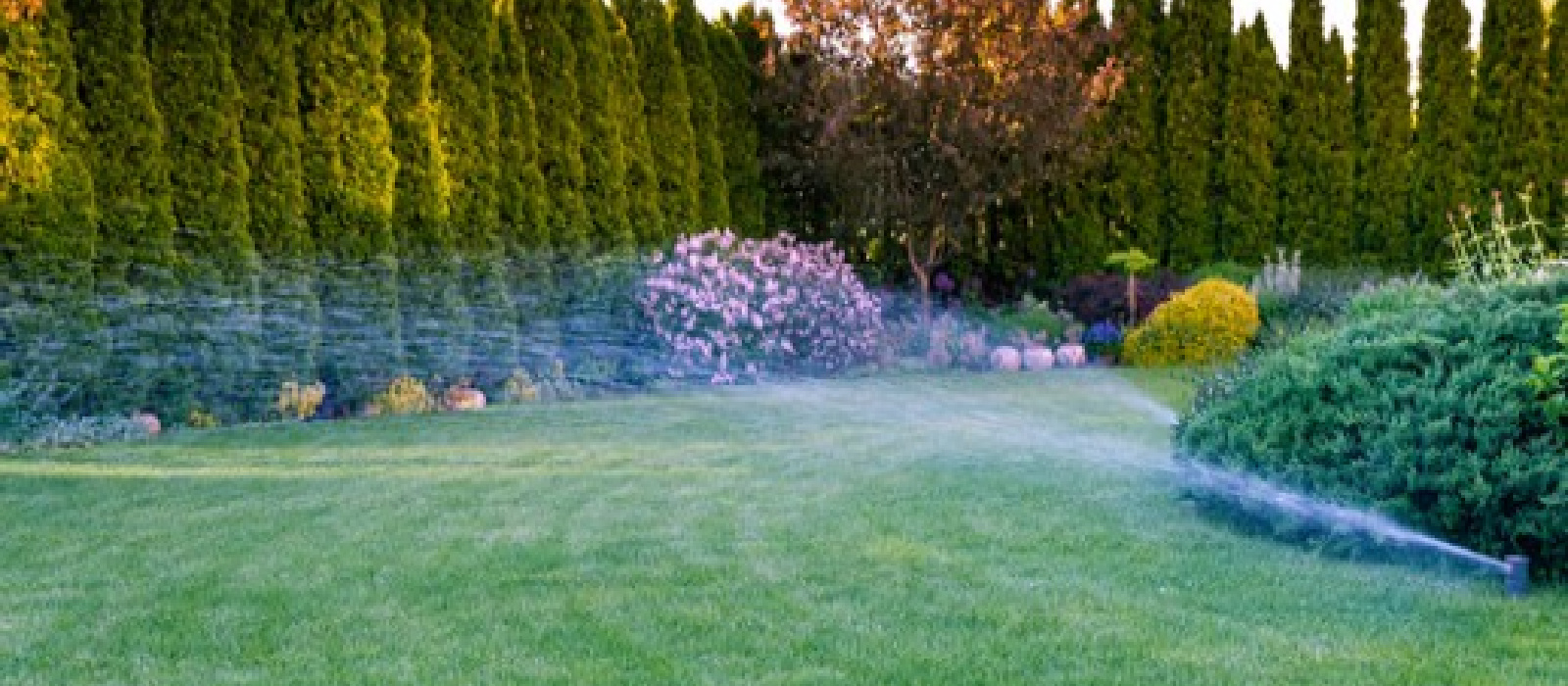 Irrigation Companies St. Louis St. Louis Area Irrigation Specialists