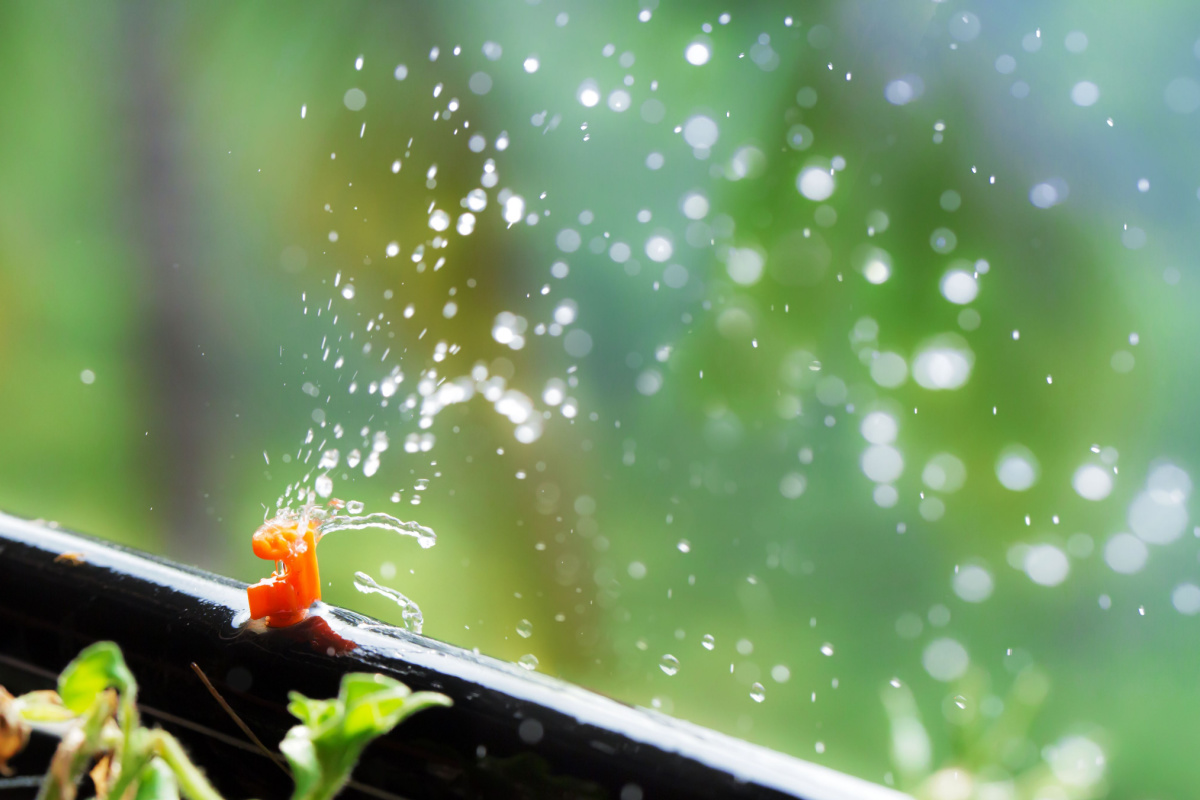 Irrigation Companies St. Louis | St. Louis Irrigation Systems | Lawn Sprinklers of St. Louis
