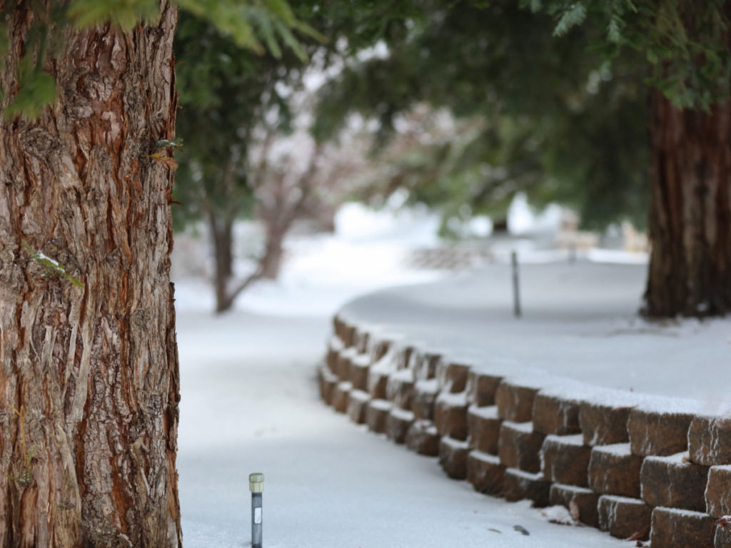 Winterize Sprinkler System St. Louis | St. Louis Lawn Care | Lawn