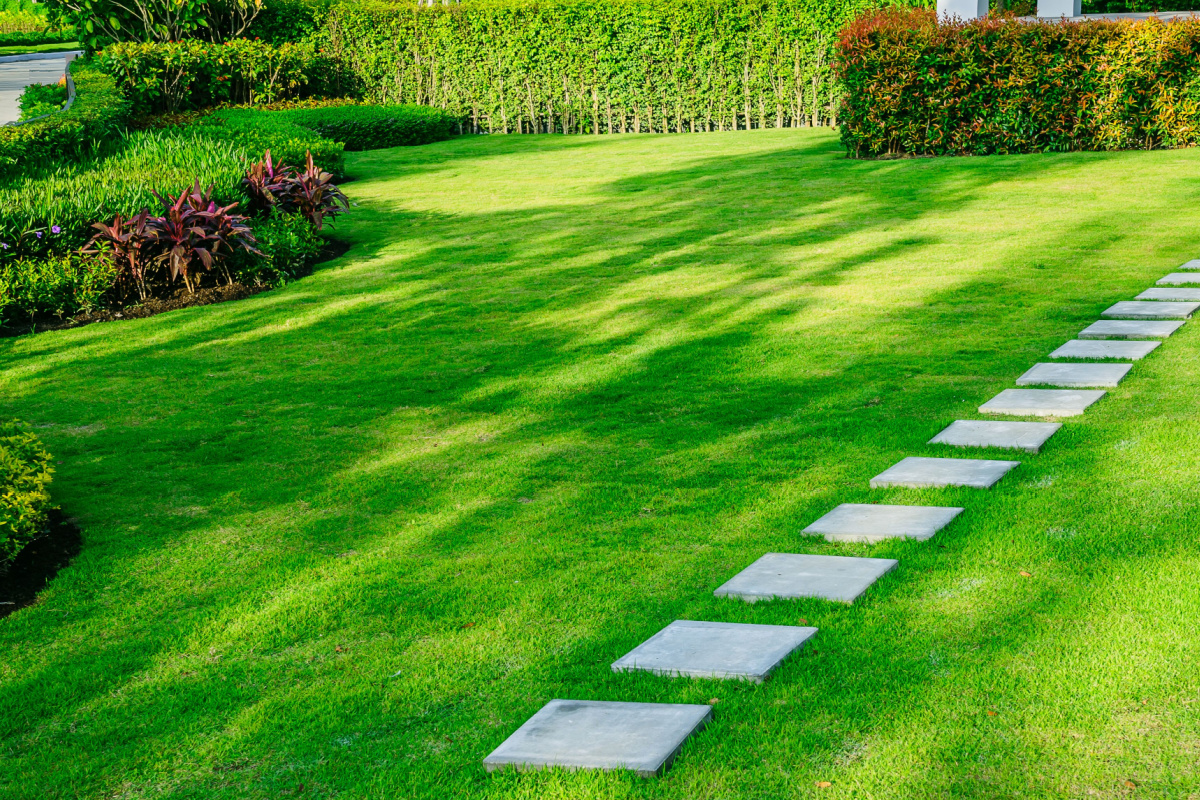 Local Lawn Care Ladue, MO | Ladue, MO Area Lawn Care | Lawn Sprinklers of St. Louis